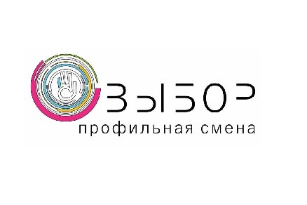 Грантовый проект «Профильная смена «Выбор» для школьников Пермского края стартует 11 ноября